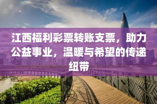 江西福利彩票转账支票，助力公益事业，温暖与希望的传递纽带