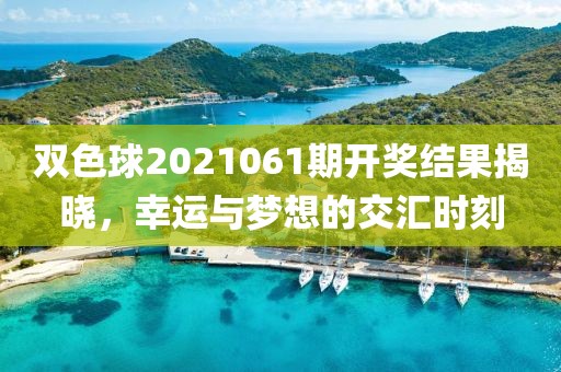 双色球2021061期开奖结果揭晓，幸运与梦想的交汇时刻