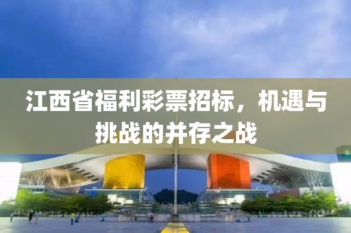 江西省福利彩票招标，机遇与挑战的并存之战