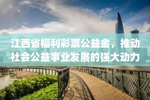 江西省福利彩票公益金，推动社会公益事业发展的强大动力