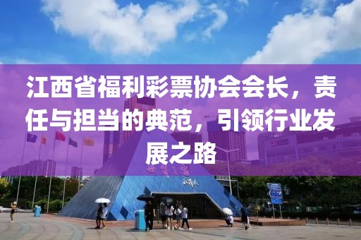 江西省福利彩票协会会长，责任与担当的典范，引领行业发展之路