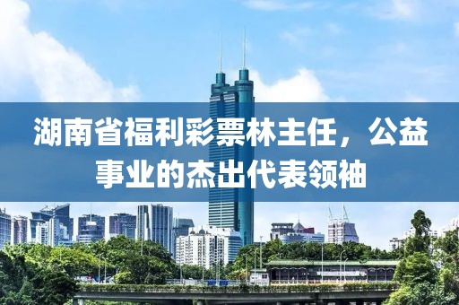 湖南省福利彩票林主任，公益事业的杰出代表领袖