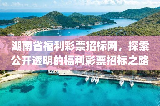 湖南省福利彩票招标网，探索公开透明的福利彩票招标之路