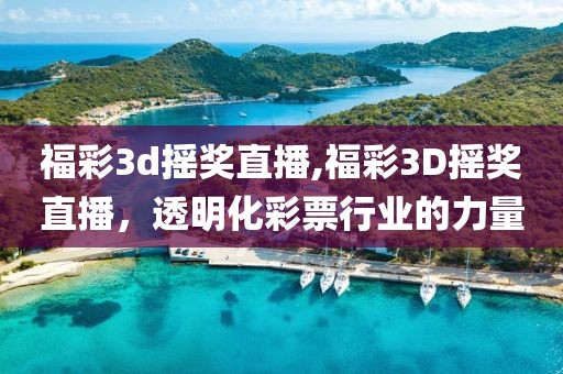 福彩3d摇奖直播,福彩3D摇奖直播，透明化彩票行业的力量