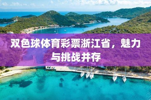 双色球体育彩票浙江省，魅力与挑战并存