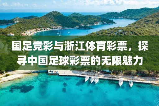 国足竞彩与浙江体育彩票，探寻中国足球彩票的无限魅力