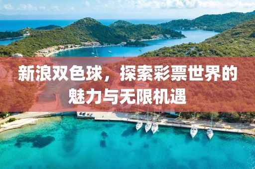 新浪双色球，探索彩票世界的魅力与无限机遇