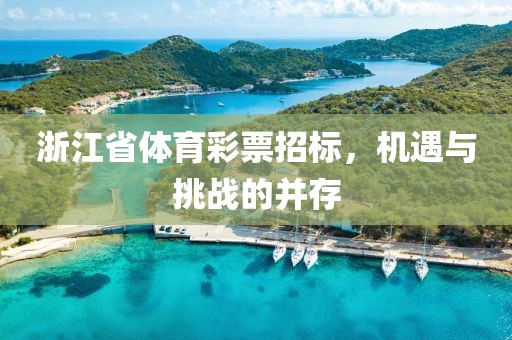 浙江省体育彩票招标，机遇与挑战的并存