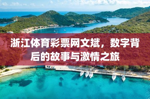 浙江体育彩票网文斌，数字背后的故事与激情之旅