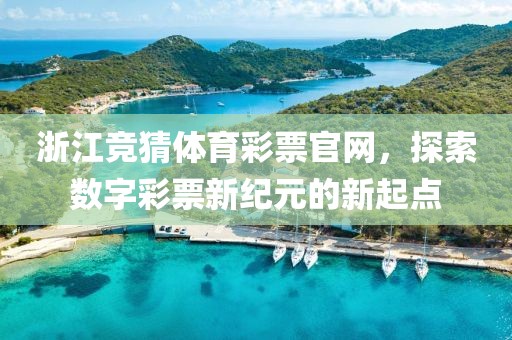 浙江竞猜体育彩票官网，探索数字彩票新纪元的新起点