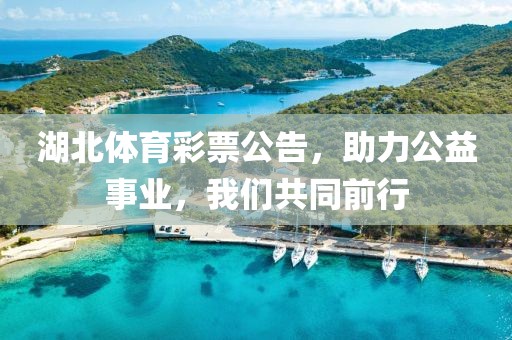 湖北体育彩票公告，助力公益事业，我们共同前行