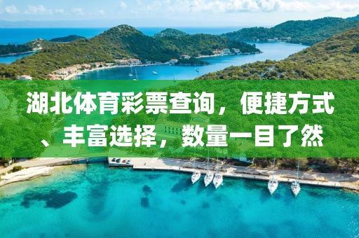 湖北体育彩票查询，便捷方式、丰富选择，数量一目了然