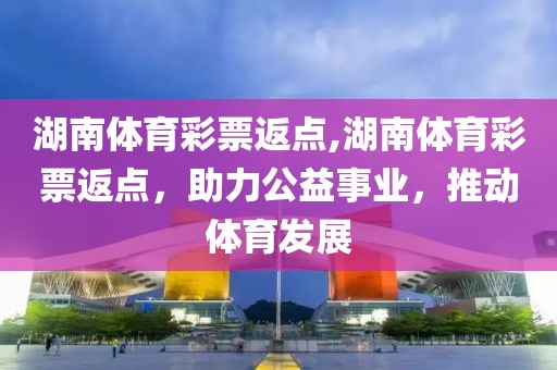 湖南体育彩票返点,湖南体育彩票返点，助力公益事业，推动体育发展