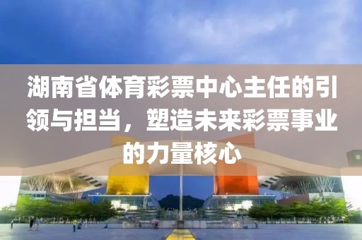 湖南省体育彩票中心主任的引领与担当，塑造未来彩票事业的力量核心