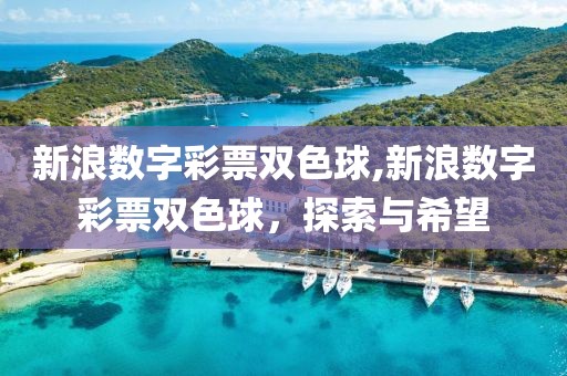 新浪数字彩票双色球,新浪数字彩票双色球，探索与希望