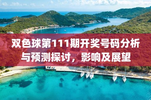 双色球第111期开奖号码分析与预测探讨，影响及展望