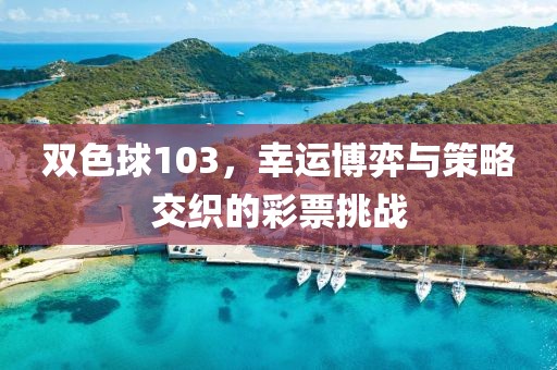 双色球103，幸运博弈与策略交织的彩票挑战