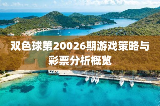 双色球第20026期游戏策略与彩票分析概览