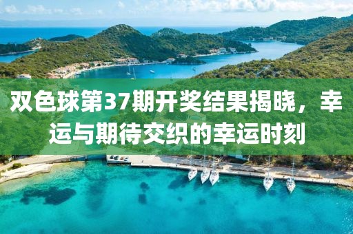 双色球第37期开奖结果揭晓，幸运与期待交织的幸运时刻